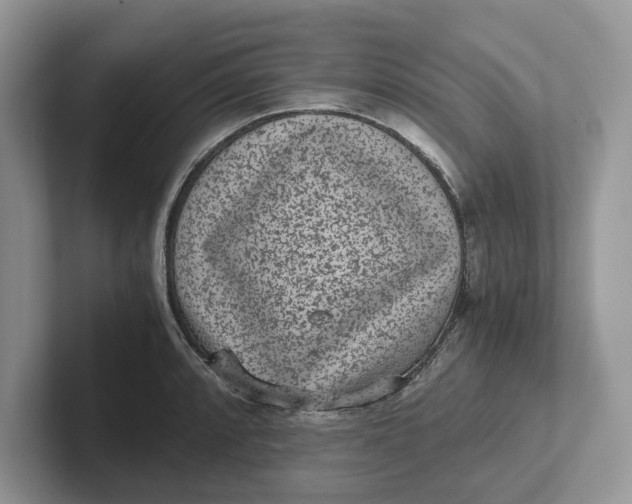 X0000101431088200807211145