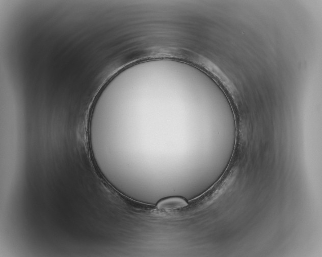 X0000101431089200807211145