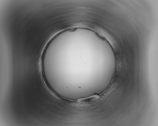 X0000101431092200807211145