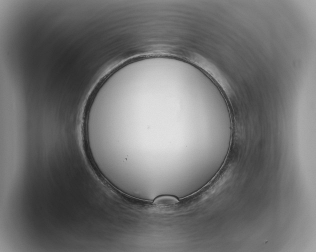 X0000101431093200807211145