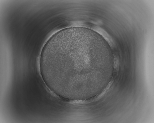 X0000101431094200807211145