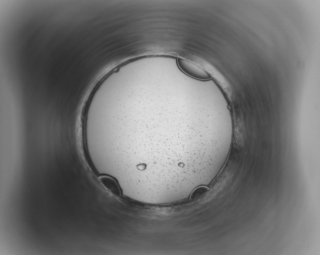 X0000101431096200807211145