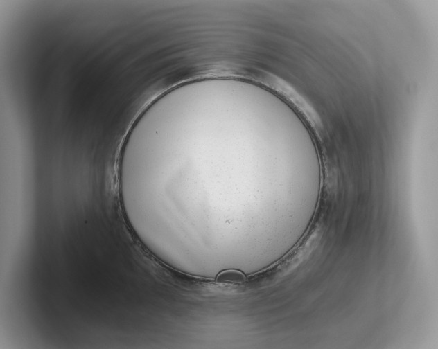 X0000101431097200807211145