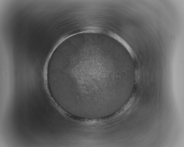 X0000101431099200807211145