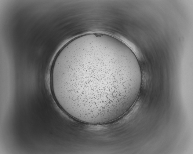 X0000101431100200807211145