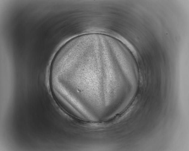 X0000101431102200807211145