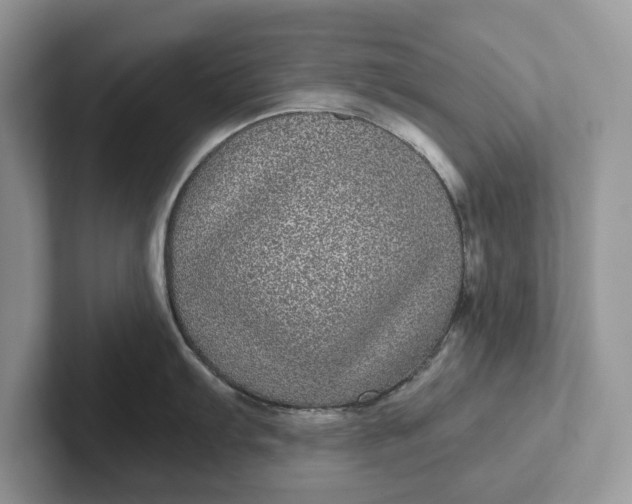 X0000101431103200807211145