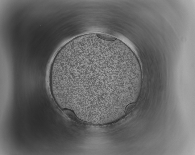 X0000101431104200807211145