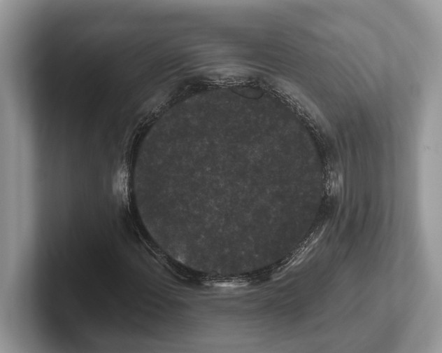 X0000101431108200807211144