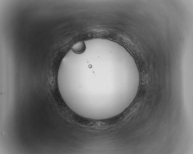 X0000101431109200807211144