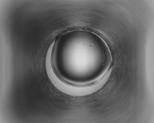 X0000101431110200807211144