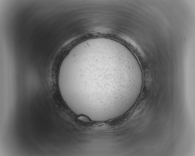 X0000101431112200807211144