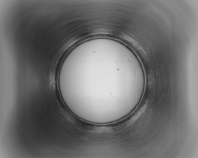 X0000101431113200807211144