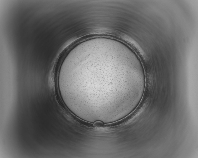 X0000101431114200807211144