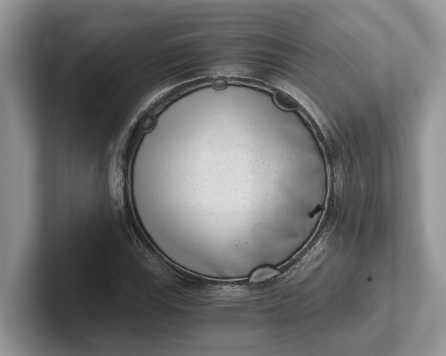 X0000101431115200807211144