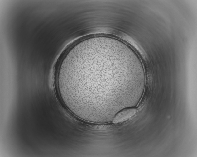 X0000101431116200807211144