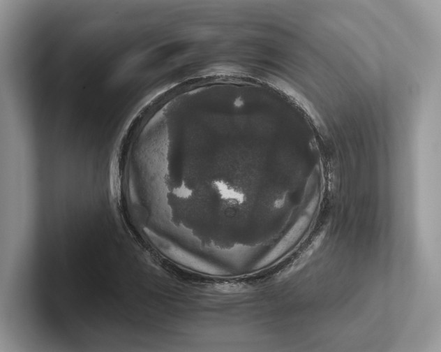 X0000101431117200807211144