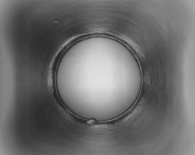 X0000101431118200807211144