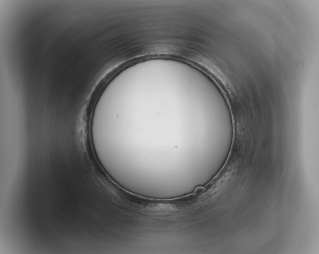 X0000101431119200807211144