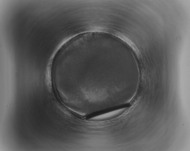 X0000101431120200807211144