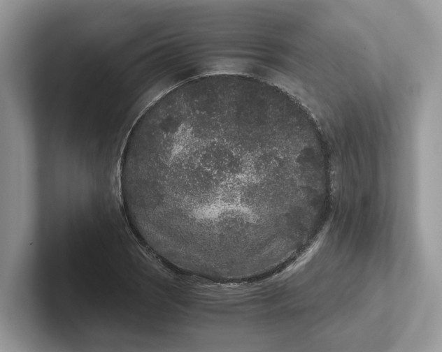 X0000101431121200807211144