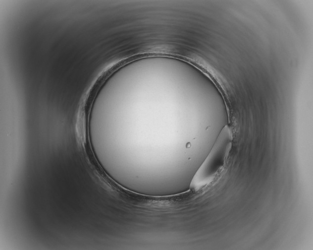 X0000101431123200807211144