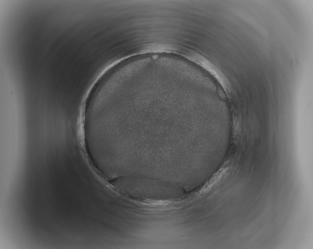 X0000101431124200807211144