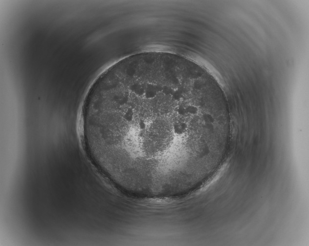 X0000101431125200807211144