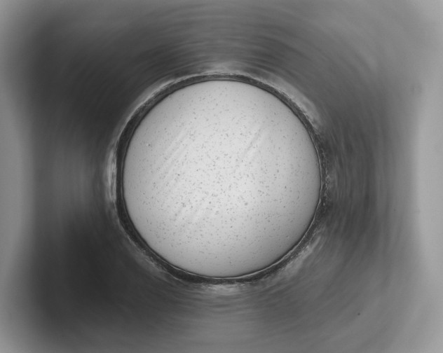 X0000101431126200807211144