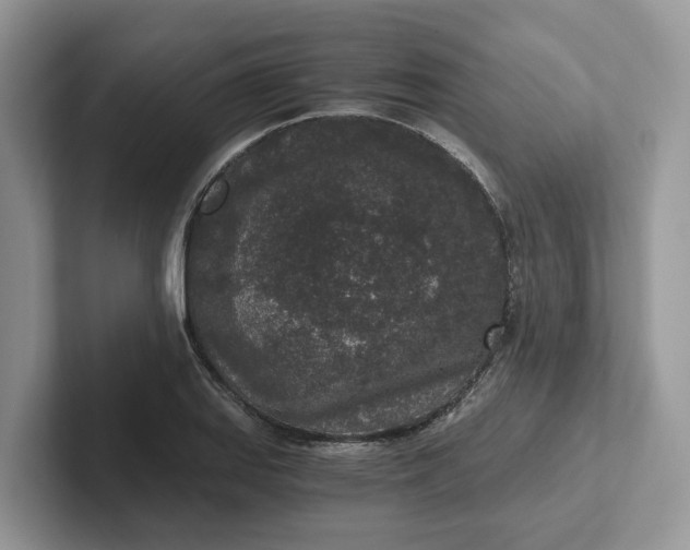 X0000101431127200807211144