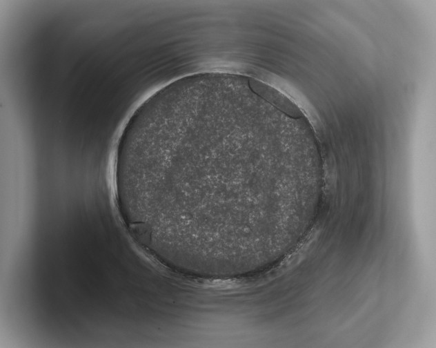 X0000101431128200807211144