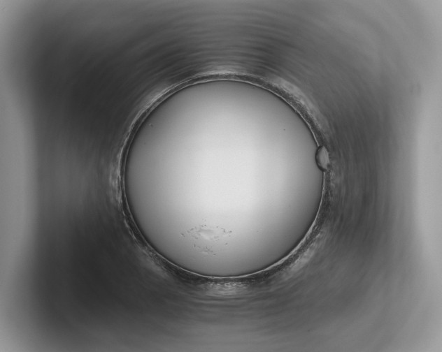 X0000101431129200807211144