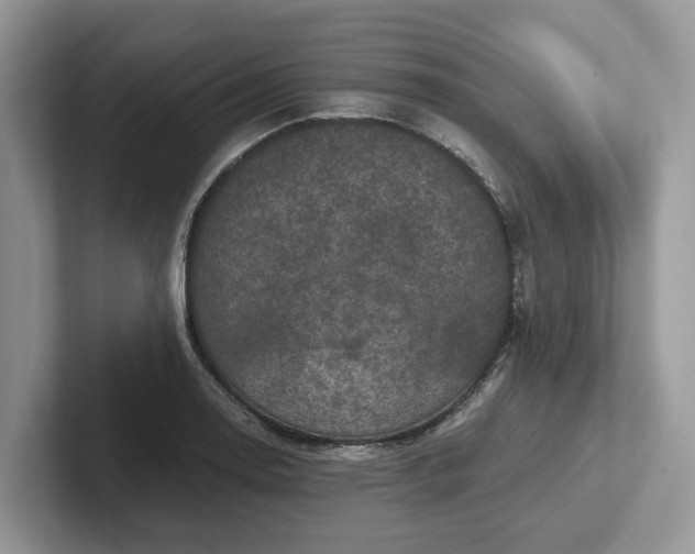 X0000101431130200807211144