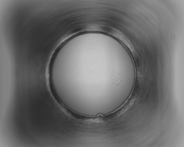 X0000101431133200807211144