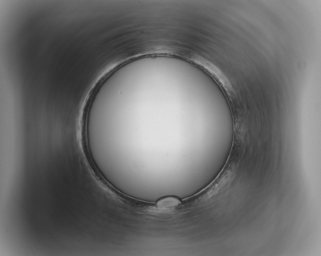 X0000101431135200807211144