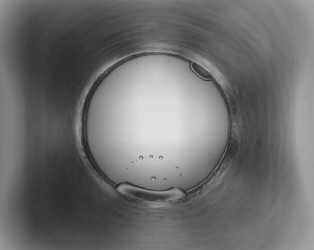 X0000101431136200807211144