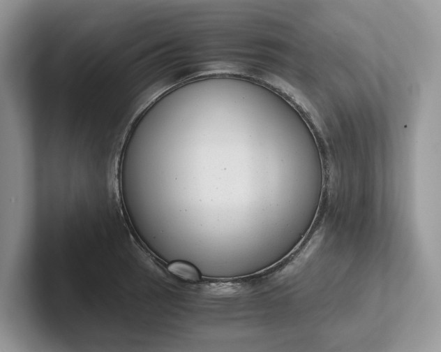 X0000101431137200807211144