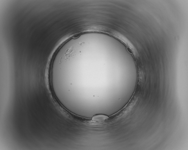 X0000101431138200807211144