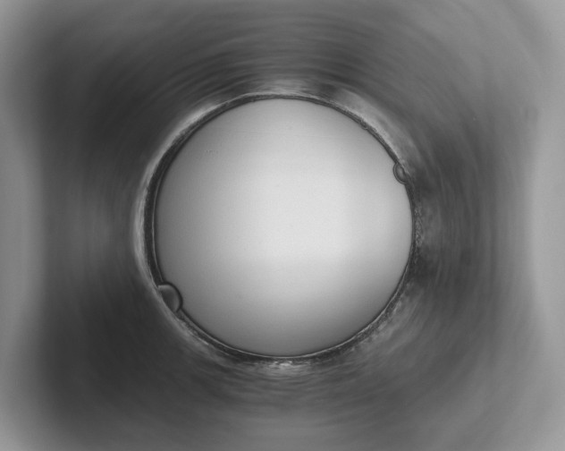 X0000101431139200807211144