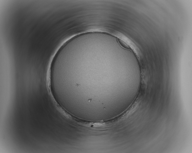 X0000101431140200807211144