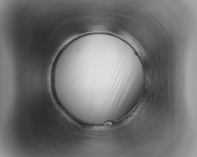 X0000101431142200807211144