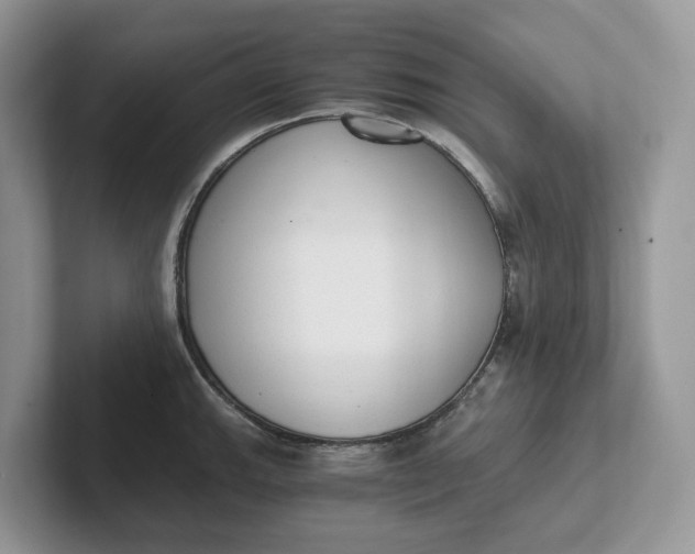 X0000101431143200807211144