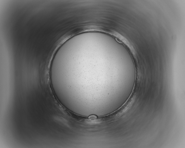 X0000101431145200807211144