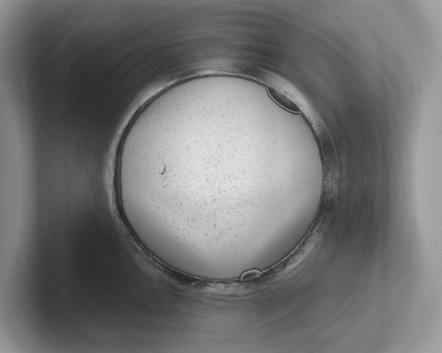 X0000101431146200807211144