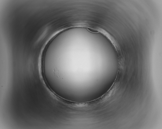 X0000101431147200807211145