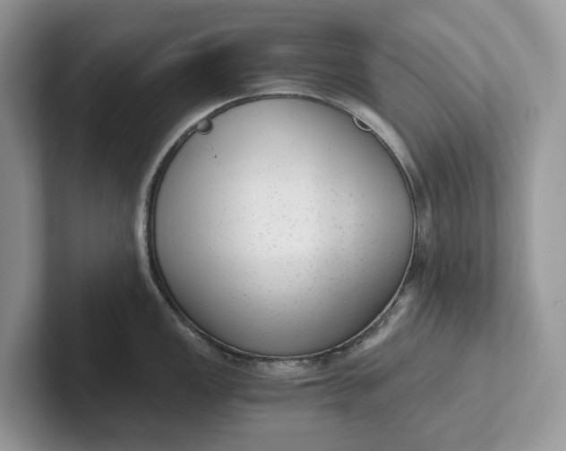 X0000101431149200807211145