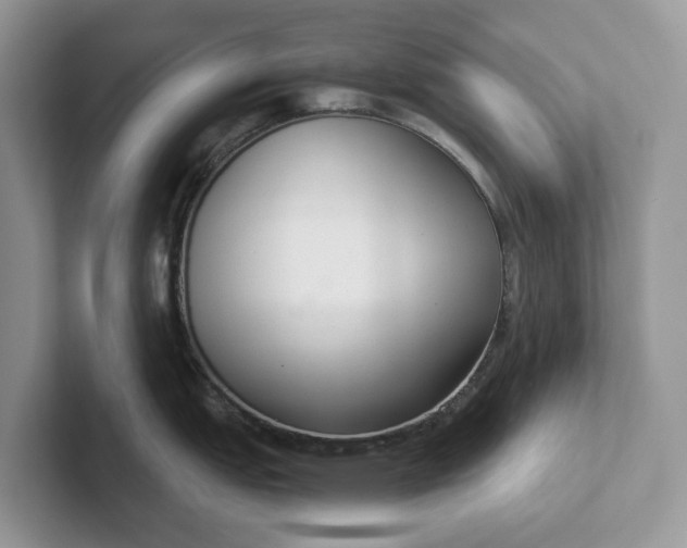 X0000101431151200807211145