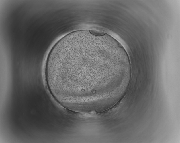 X0000101431152200807211145