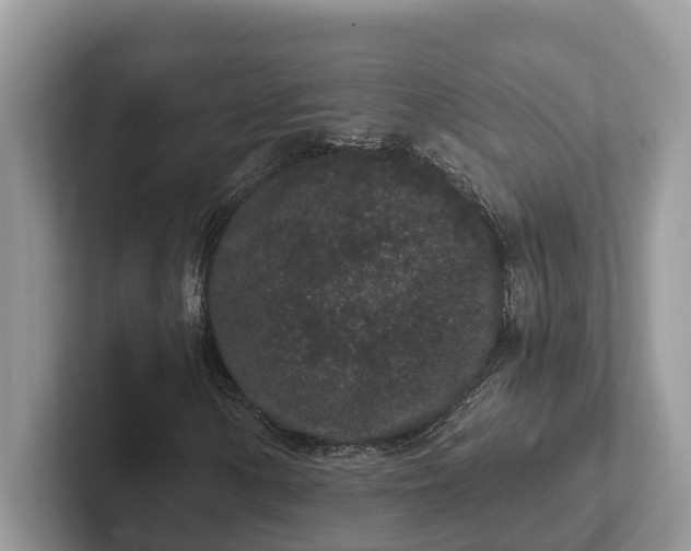 X0000101431154200807211144