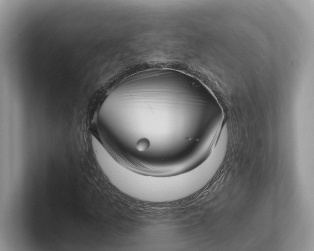 X0000101431157200807211144